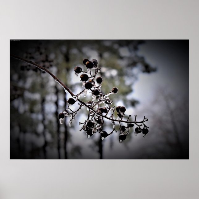 Affiche Gel hivernal, (Devant)