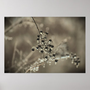 Affiche Gel hivernal,