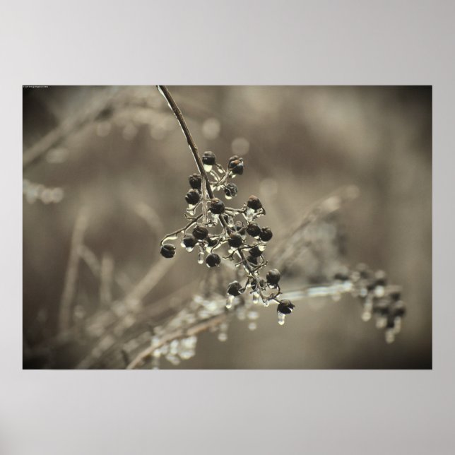 Affiche Gel hivernal, (Devant)