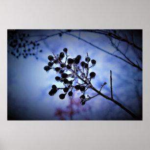 Affiche Gel hivernal,