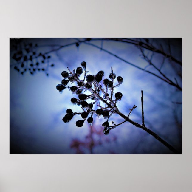 Affiche Gel hivernal, (Devant)