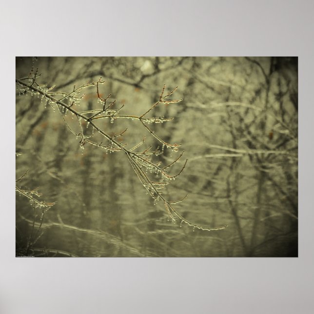 Affiche Gel hivernal, (Devant)