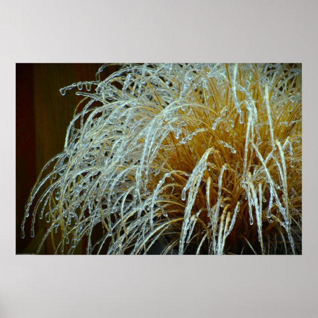 Affiche Gel hivernal, (Devant)