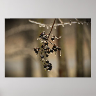 Affiche Gel hivernal,