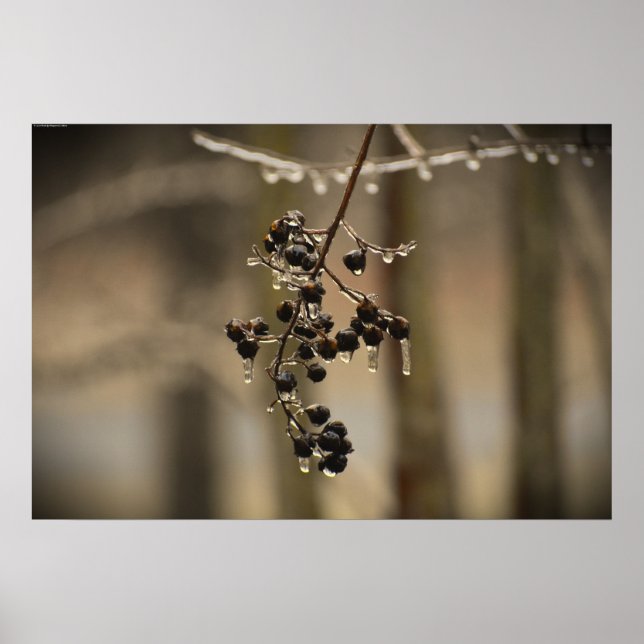 Affiche Gel hivernal, (Devant)