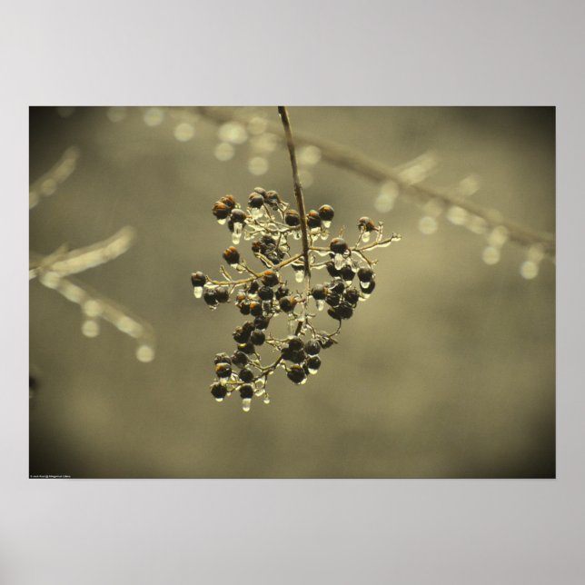 Affiche Gel hivernal, (Devant)