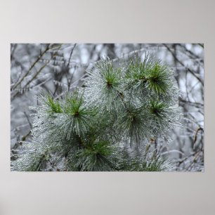 Affiche Gel hivernal,