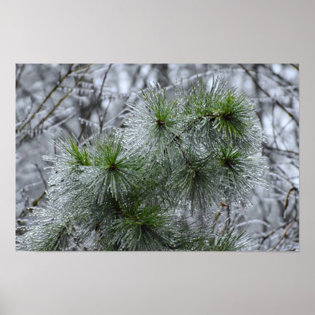 Affiche Gel hivernal, (Devant)