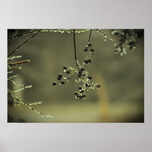 Affiche Gel hivernal,