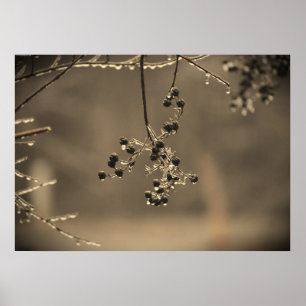 Affiche Gel hivernal,