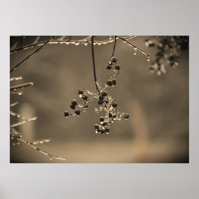 Affiche Gel hivernal, (Devant)