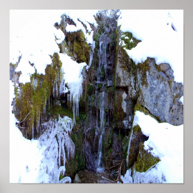 Affiche Gelée dans le temps... (Devant)