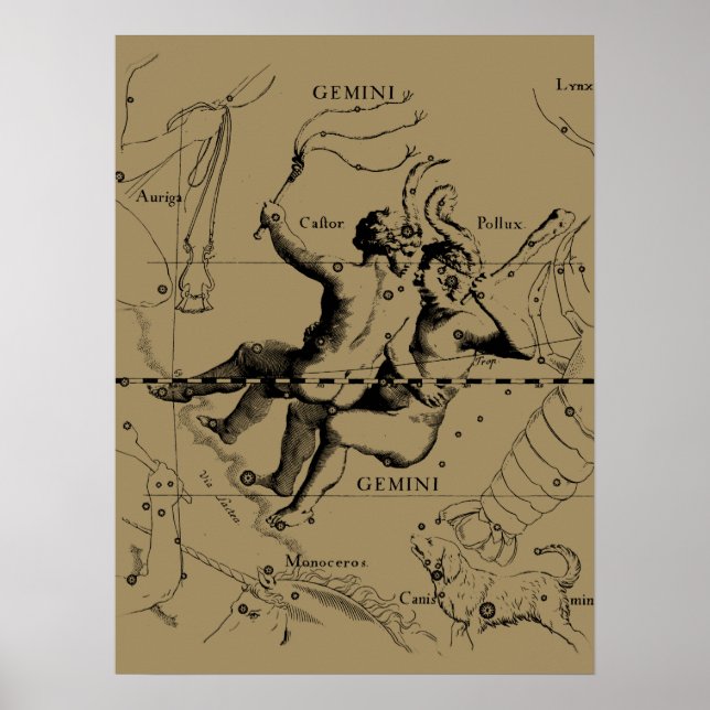 Affiche Gemini Constellation Zodiac Hevelius 1690 (Devant)