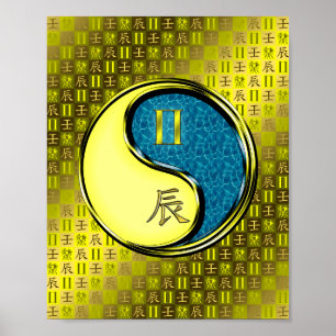 Affiche Gemini & Dragon d'eau