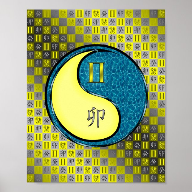 Affiche Gemini et Rabbit d'eau (Devant)