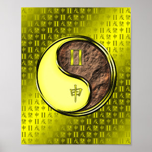 Affiche Gemini et singe de la Terre