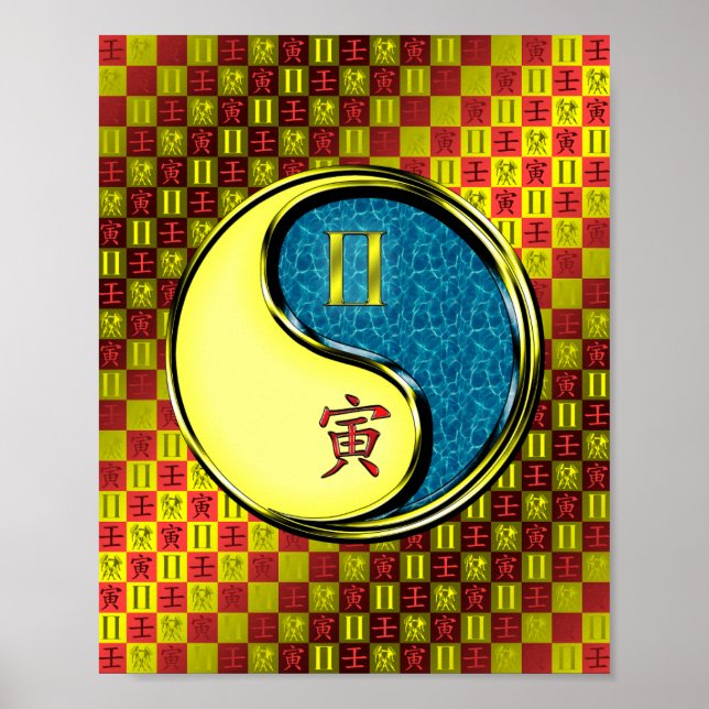 Affiche Gemini et tigre d'eau (Devant)