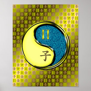 Affiche Gemini & Rat d'eau