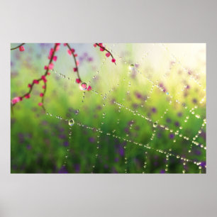 Affiche Gemmes d'un matin de printemps Imprimer