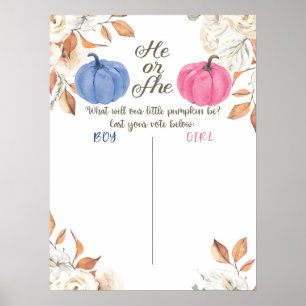 Affiche Gender Reveal Blush Pink and Navy Voting Board