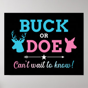 Affiche Gender reveal buck doe can't wait know baby party