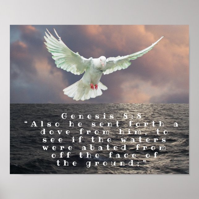 AFFICHE GENÈSE 8:8 (Devant)