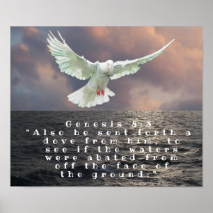 AFFICHE GENESIS 8:8