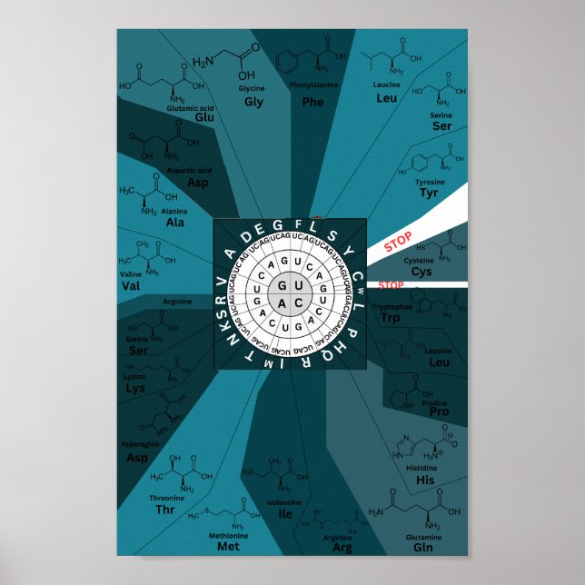 Affiche Genetic codon chart wheel of amino acids blue (Devant)