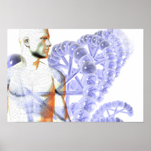 Affiche Génome humain