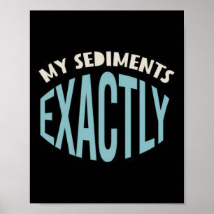 Affiche Géologie Pun Mes Sédiments Exactement