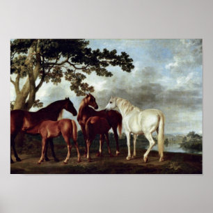 Affiche George Stubbs - Mares et poulains dans un paysage
