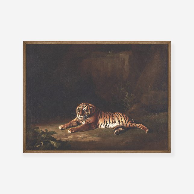 Affiche George Stubbs Tiger Peinture Art (Créateur téléchargé)