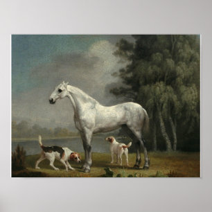 Affiche George Stubbs - Un chasseur gris pomme