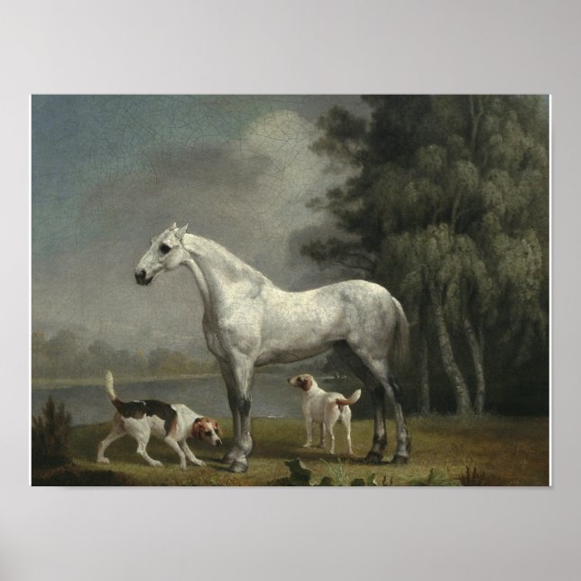 Affiche George Stubbs - Un chasseur gris pomme (Devant)