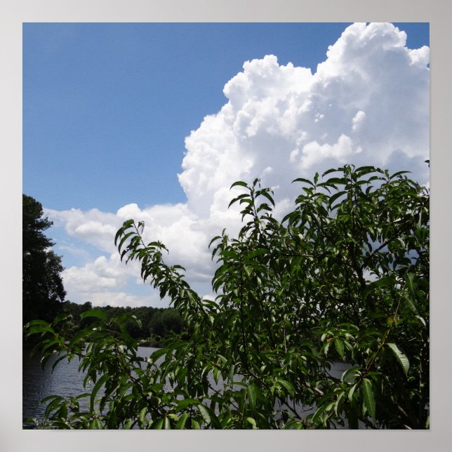 Affiche Georgia Peach Tree Fluffy White Nuages (Devant)