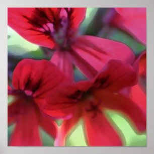 Affiche Géranium peint