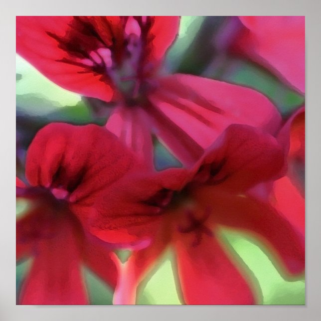 Affiche Géranium peint (Devant)