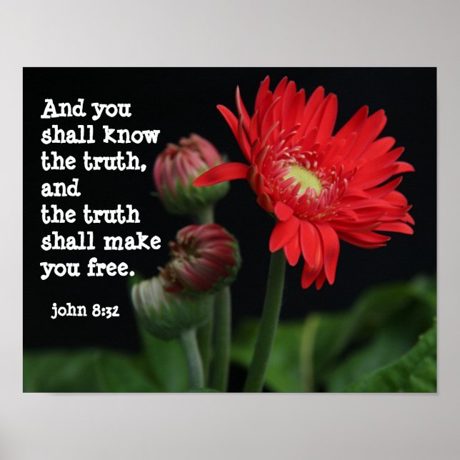 Affiche Gerbera Daisy avec Verse des Écritures (john 8:32) (Devant)