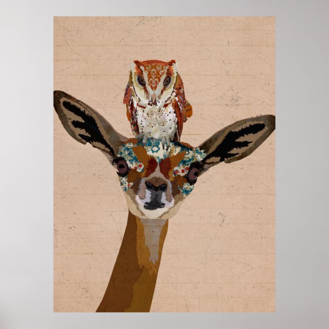 AFFICHE GERENUK & OWL (Devant)