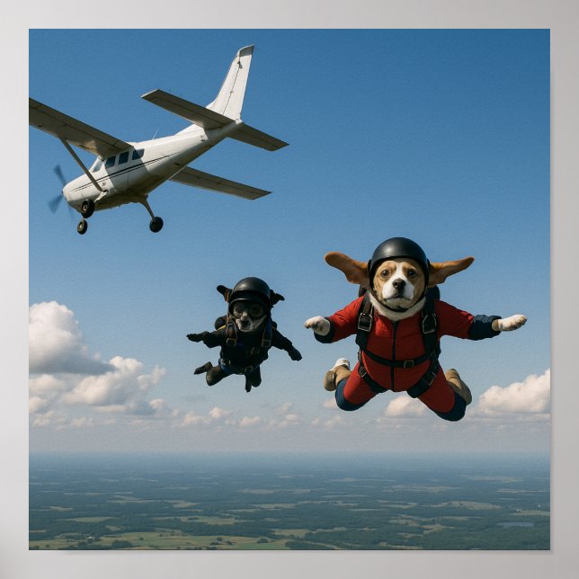 Affiche "Geronimo" (Devant)