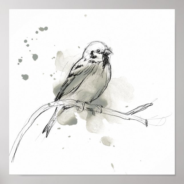 Affiche Gestural Bird Study (Devant)