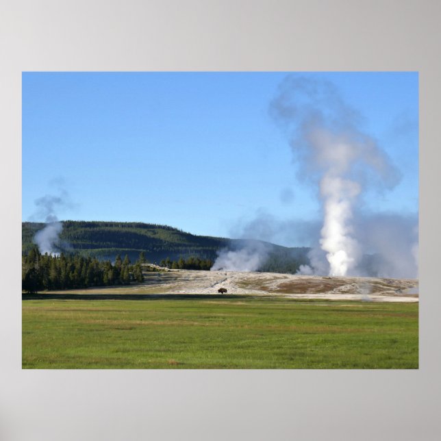 Affiche Geyser Deep Blue et bison à Yellowstone (Devant)
