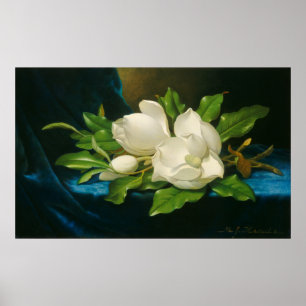 Affiche Giant Magnolias sur Blue Velvet Cloth