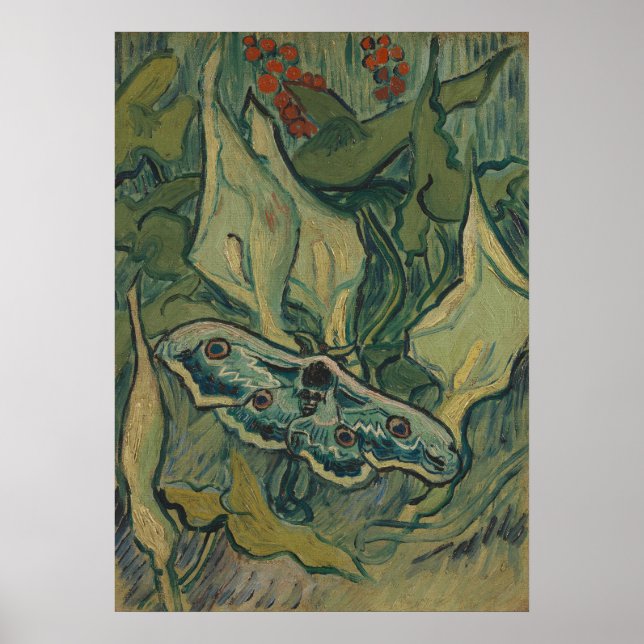 Affiche Giant Peacock Moth (1889) par Vincent van Gogh (Devant)