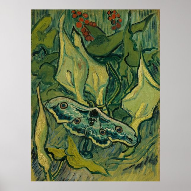 Affiche Giant Peacock Moth Vincent van Gogh 1889 (Devant)