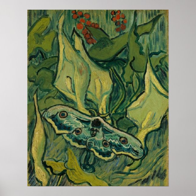 Affiche Giant Peacock Moth Vincent van Gogh 1889 Small (Devant)