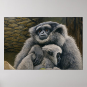 Affiche Gibbon Shelter - Emotional Wildlife Portrait