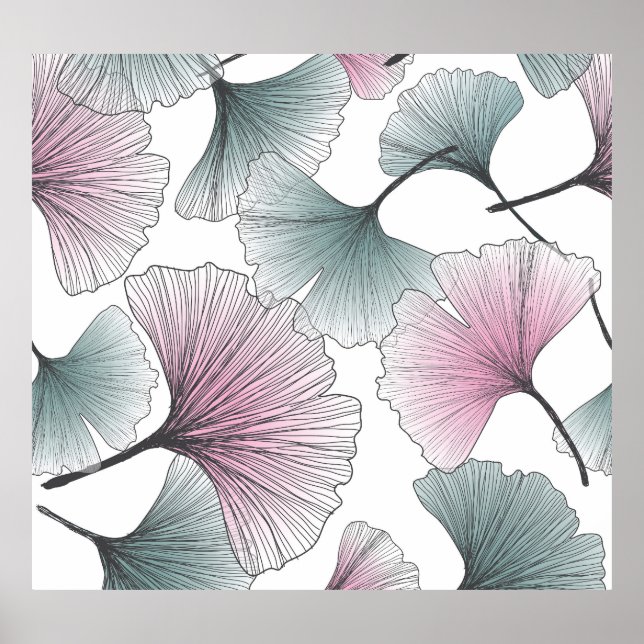 Affiche Gingko biloba dessiné à la main. (Devant)