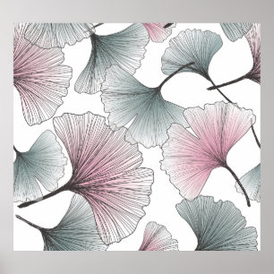 Affiche Gingko biloba dessiné à la main.