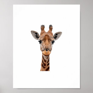 Affiche Girafe _1